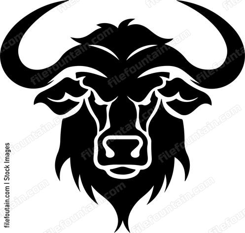 Cape Buffalo