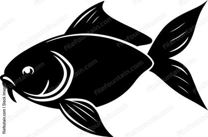 Carp