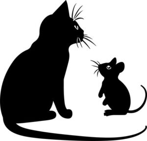 Cat Hunting The Mouse