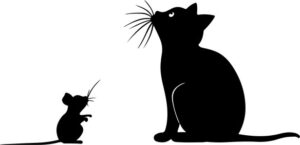 Cat Hunting The Mouse