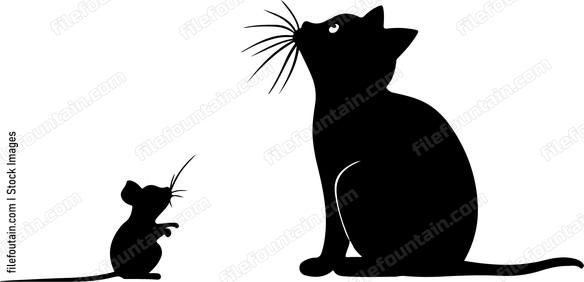 Cat Hunting The Mouse