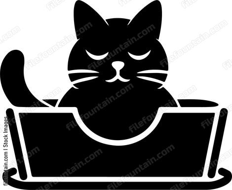Cat in bed or basket