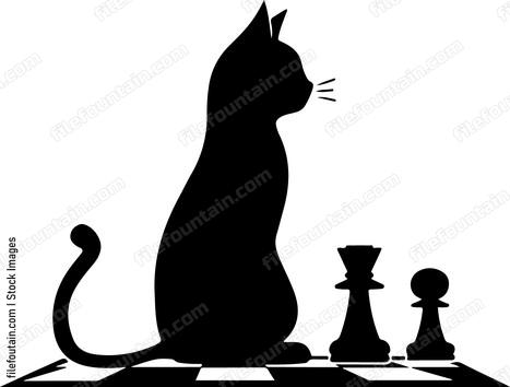 Cat looking at chess pieces