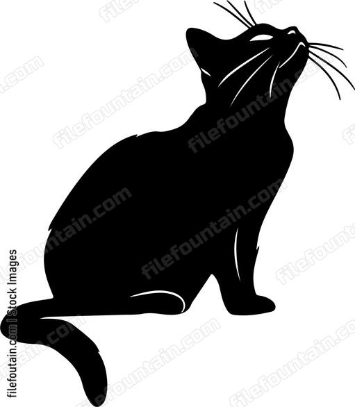 Cat looking up silhouette