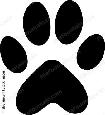 Cat Paw Bottom
