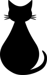 Cat sitting looking back