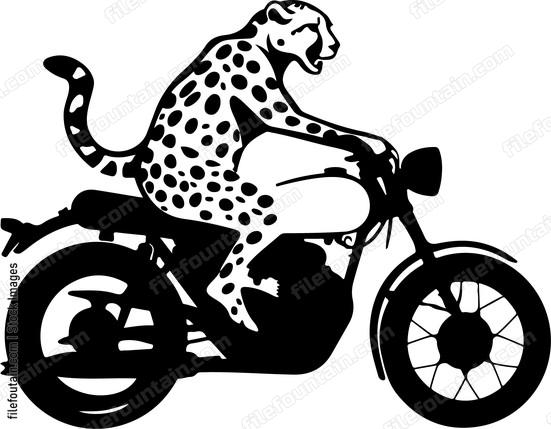 Cheetah Riding Motorcycle