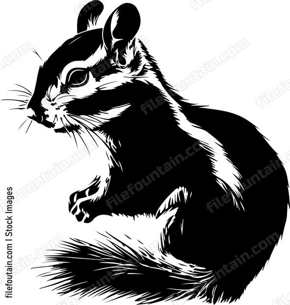 Chipmunk