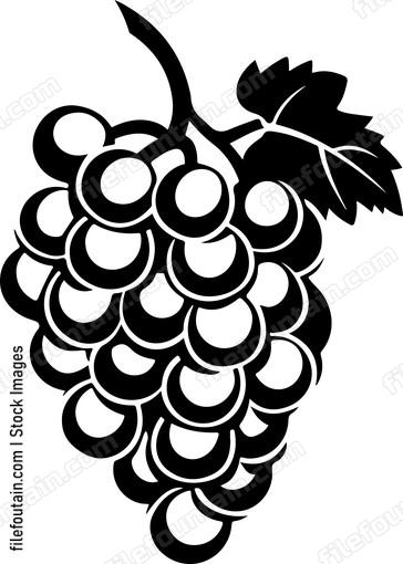 Cluster Of Grapes