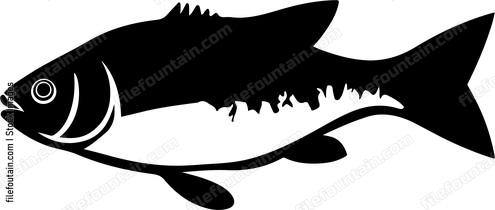 Cod