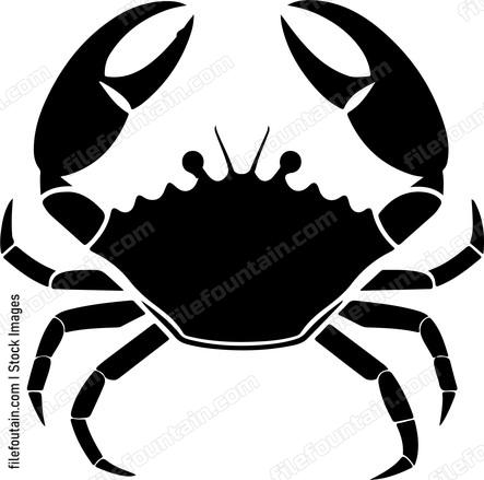 Crab