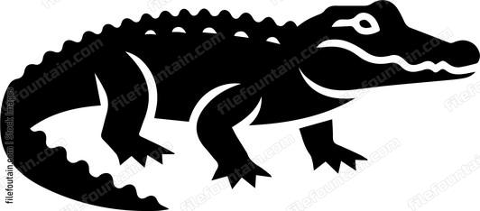 Crocodile