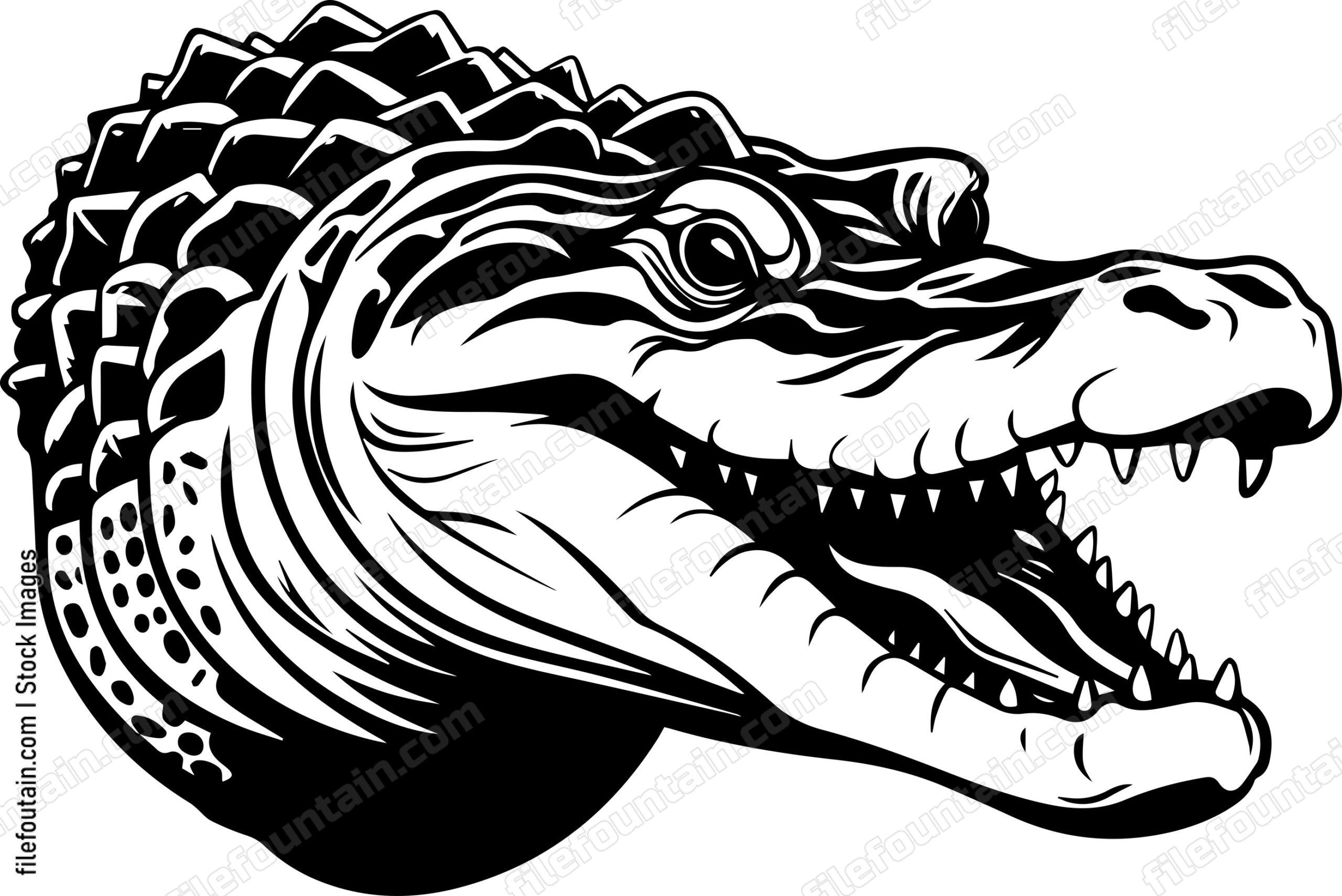 Crocodile
