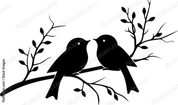 Cute Birds On A Branch