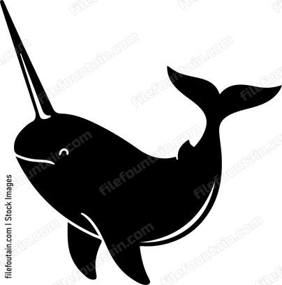 Cute Narwhal
