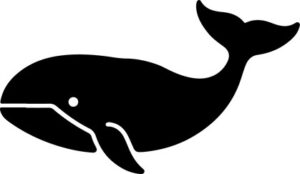 Cute Whale