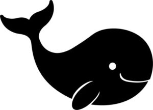 Cute Whale