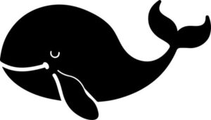 Cute Whale