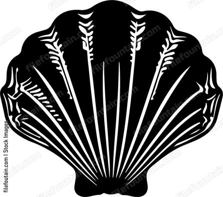 Decorative Sea Shell