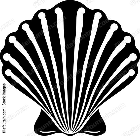 Decorative Sea Shell