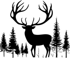 Deer In Forest