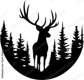 Deer In Forest