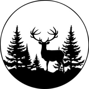 Deer In Forest
