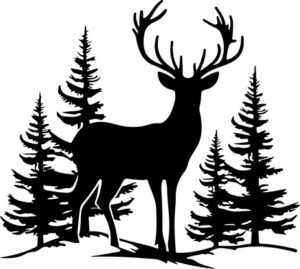 Deer In Forest