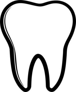Dentists Tooth