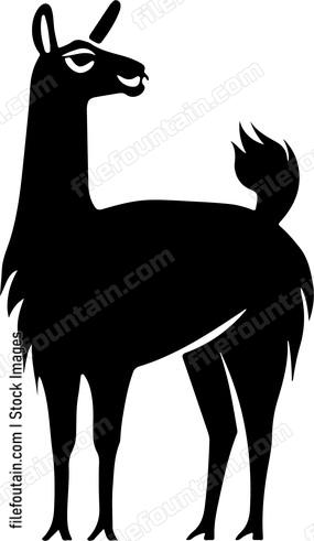 Desert Llamas