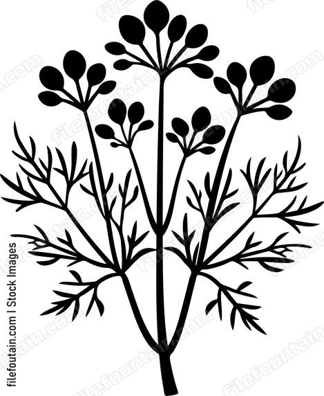 Dill Bundle
