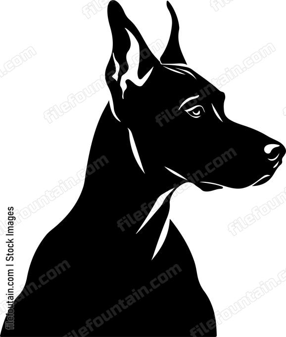 Doberman Pinscher