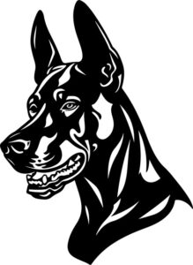 dobermpinscher head
