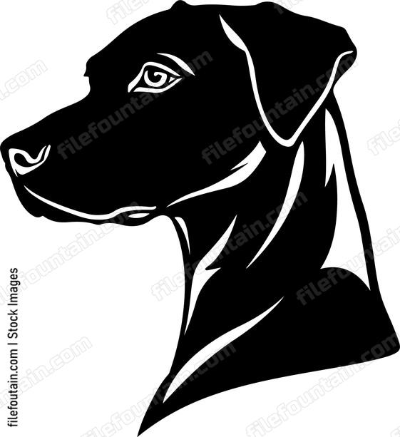 Dog Head Side View