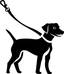 Dog on leash
