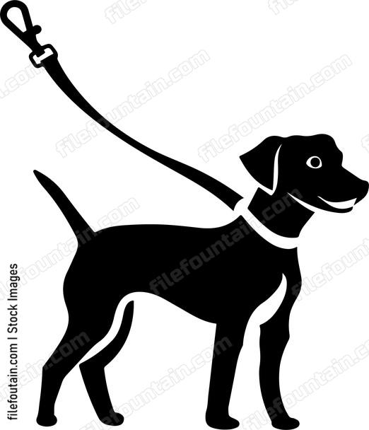 Dog on leash
