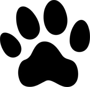 Dog Paw Bottom