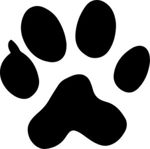 Dog Paw Prints