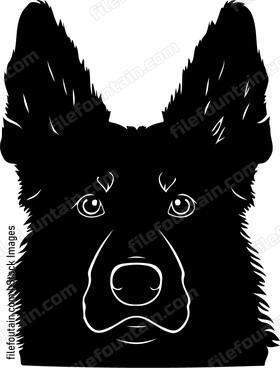 dogs head in silhouette
