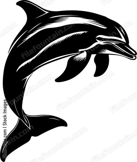 Dolphin