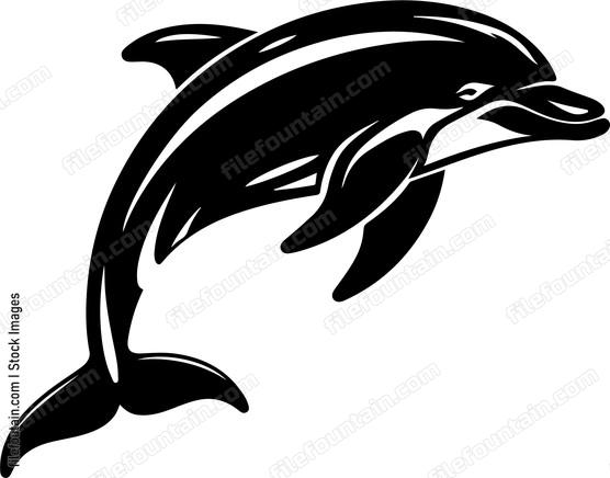 Dolphin jumping out of water