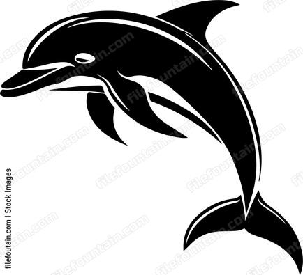 Dolphin jumping out of water