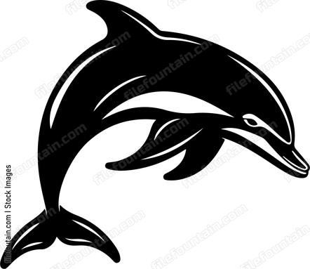Dolphin jumping out of water