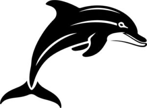 Dolphin jumping out of water