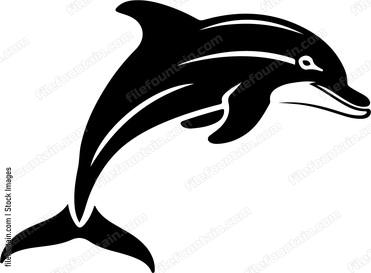 Dolphin jumping out of water