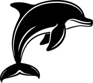 Dolphin jumping out of water