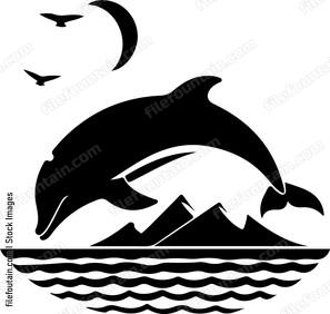 Dolphin jumping over ocewaves