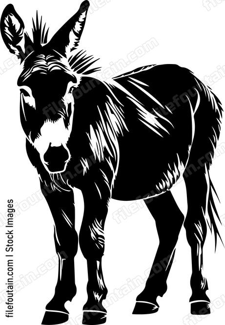 Donkey