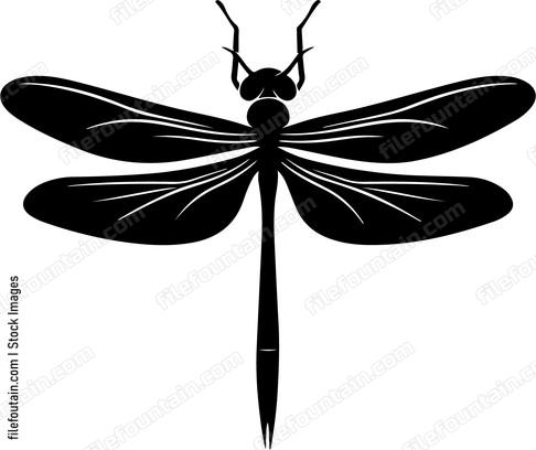 Dragonfly Design