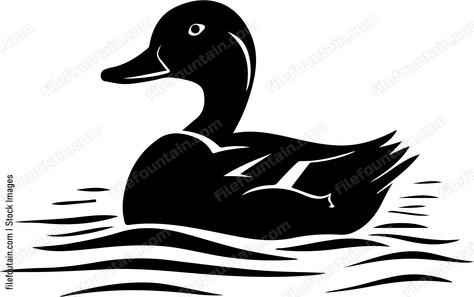 Duck floating on water